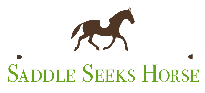 Saddle Seeks Horse